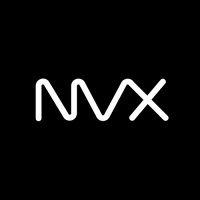 NVX Software logo - Similar company to Codigoya - Software