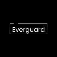 Everguard Capital Partners logo - Similar company to Devtrux