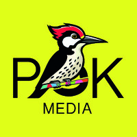 PokMedia logo - Similar company to Optimoney