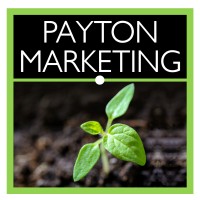 Payton Marketing Ltd logo - Similar company to Abacus Training Centre Ltd