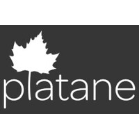 Platane Projects logo - Similar company to Mallett