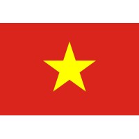 VIETNAM E-VISA logo - Similar company to Visa Buddie ( A Brand Of Ins Terratrails Private Limited )