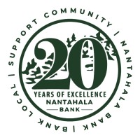 Nantahala Bank logo - Similar company to Delong Web Designs