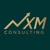 NXM Consulting logo - Similar company to Nxm Business Solutions
