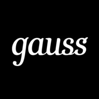 Gauss Russia logo - Similar company to Navigator Group