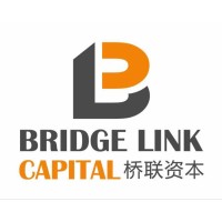 Bridge Link Capital logo - Similar company to Bridge Link