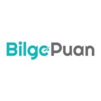 Bilge Puan logo - Similar company to Innovation & Partners