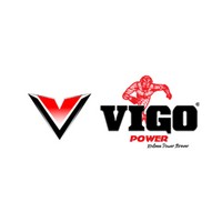 Vigo Power logo - Similar company to Hi Tech Battery