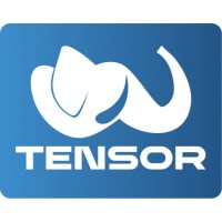 Tensor Engineering Services LLC logo - Similar company to Ipcs