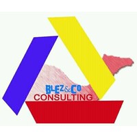 Blez&Co Consulting logo - Similar company to New City Media Rdc
