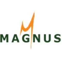 Magnus IT Solutions Pvt. Ltd. logo - Similar company to Platinus Technologies Pvt Ltd.