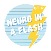 Neuro in a Flash logo - Similar company to Nurseinthemaking