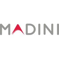 Madini Group logo - Similar company to Hamlet Group