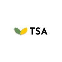 The Sunflower Age logo - Similar company to Masterclass Ai Consult Ltd