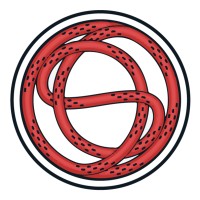 Practical Access Solutions logo - Similar company to Andersal Pty Ltd