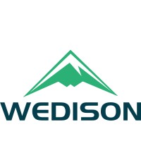 WEDISON Vietnam logo - Similar company to Wedison Indonesia
