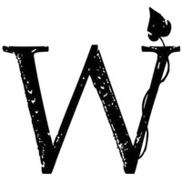 Wonder studio logo - Similar company to Wonder Studio
