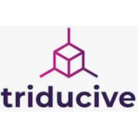 Triducive® logo - Similar company to Architectural Thinking Community