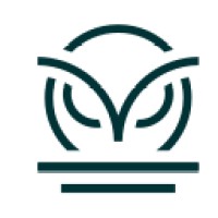 Metisphere logo - Similar company to Vanguard Cloud Consulting Ltd