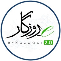 e-Rozgaar Program - Punjab IT Board logo - Similar company to Professional Freelancing Training Program