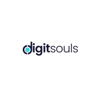 Digitsouls logo - Similar company to Flare Pixel
