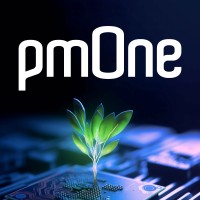 pmOne Group logo - Similar company to 4Sconsult