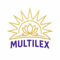 Multilex Technologies, Inc. logo - Similar company to Dih Solutions, Llc
