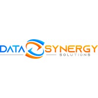 Data Synergy Solutions logo - Similar company to Data Synergy