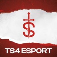 TS4 Esport logo - Similar company to Docere Formations