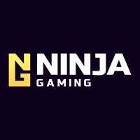 NinjaGaming logo - Similar company to Ncs Technologies