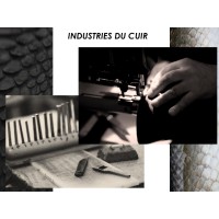 INDUSTRIES DU CUIR SARL logo - Similar company to Cuir Textile Crea