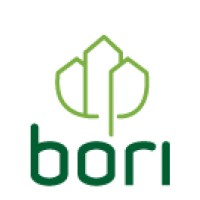BORI BBL logo - Similar company to Nucleus As