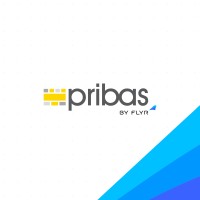 pribas Turkey Ltd.  (a FLYR Company) logo - Similar company to Newshore (A Flyr Company)
