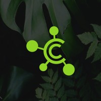 Causeway Connect logo - Similar company to Support And Solutions Center Mk