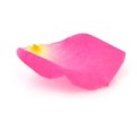 Rose Office GmbH logo - Similar company to Teas