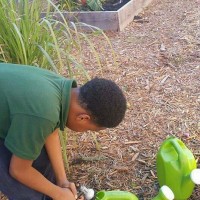 Eastside Environmental Council