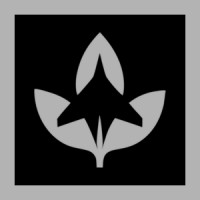 BlackMint Consulting logo - Similar company to Blackmint