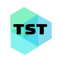 Theme Software Technologies logo - Similar company to Crossroads Software Technologies
