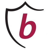Baron Payroll logo - Similar company to Southland Data Processing, Inc.