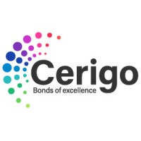 Cerigo Additives Private Limited logo - Similar company to Comet Polyplast Pvt Ltd