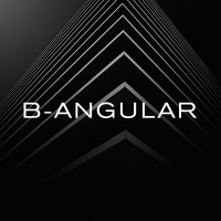 B-ANGULAR Business Controlling logo - Similar company to Qualitahub