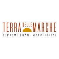 Terra delle Marche logo - Similar company to Oliveri Group S.R.L.