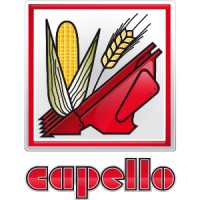 CAPELLO logo - Similar company to Bottero S.P.A.