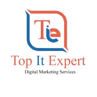 TOP IT EXPERT logo - Similar company to Eduvitech India Pvt. Ltd.