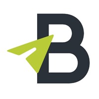 BlueInc Strategies, LLC logo - Similar company to Secure Process Intelligence