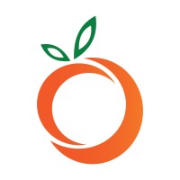 ORANGO SOLUTIONS logo - Similar company to Digilink Solution