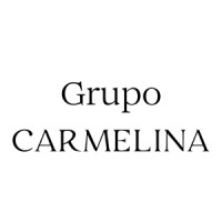 Grupo Carmelina logo - Similar company to Stored (Acquired)