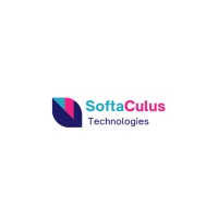 Softaculus Technologies logo - Similar company to Cybaem Tech