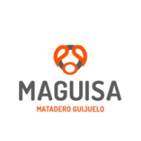 Maguisa logo - Similar company to Beher Stores