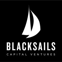 Black Sails Capital Ventures logo - Similar company to Living Wealth Co.